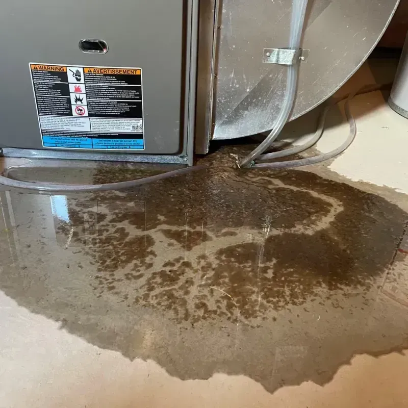 Appliance Leak Cleanup in Orange County, CA